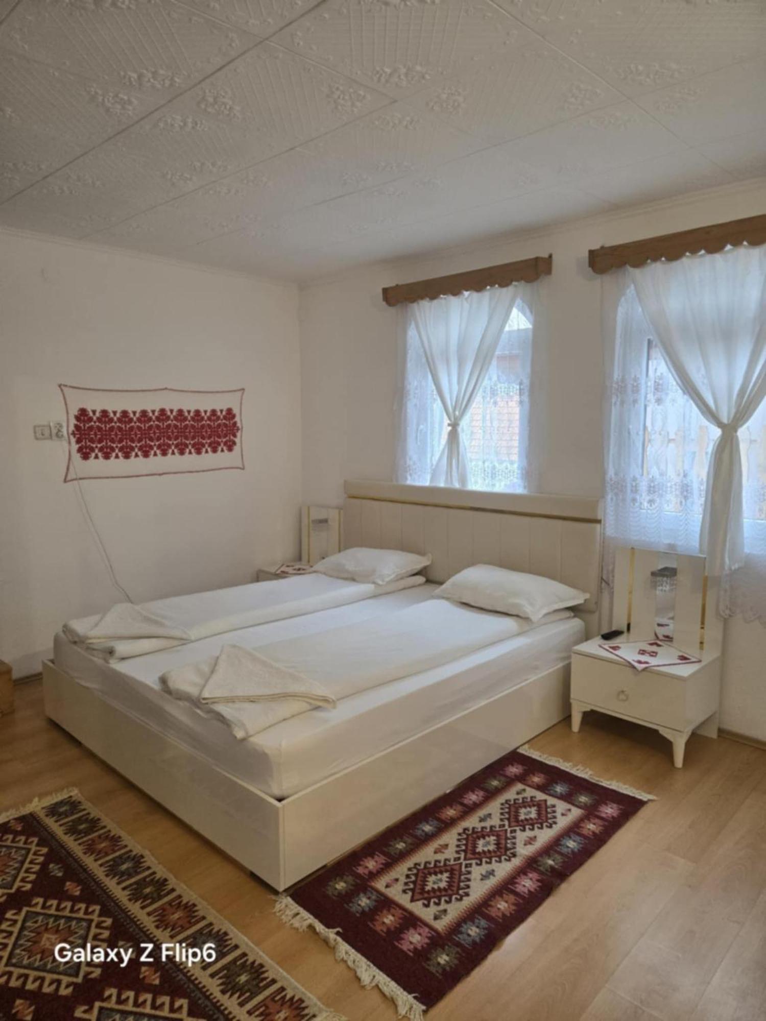 Bed and Breakfast Rózsa Panzió Rimetea Exterior foto
